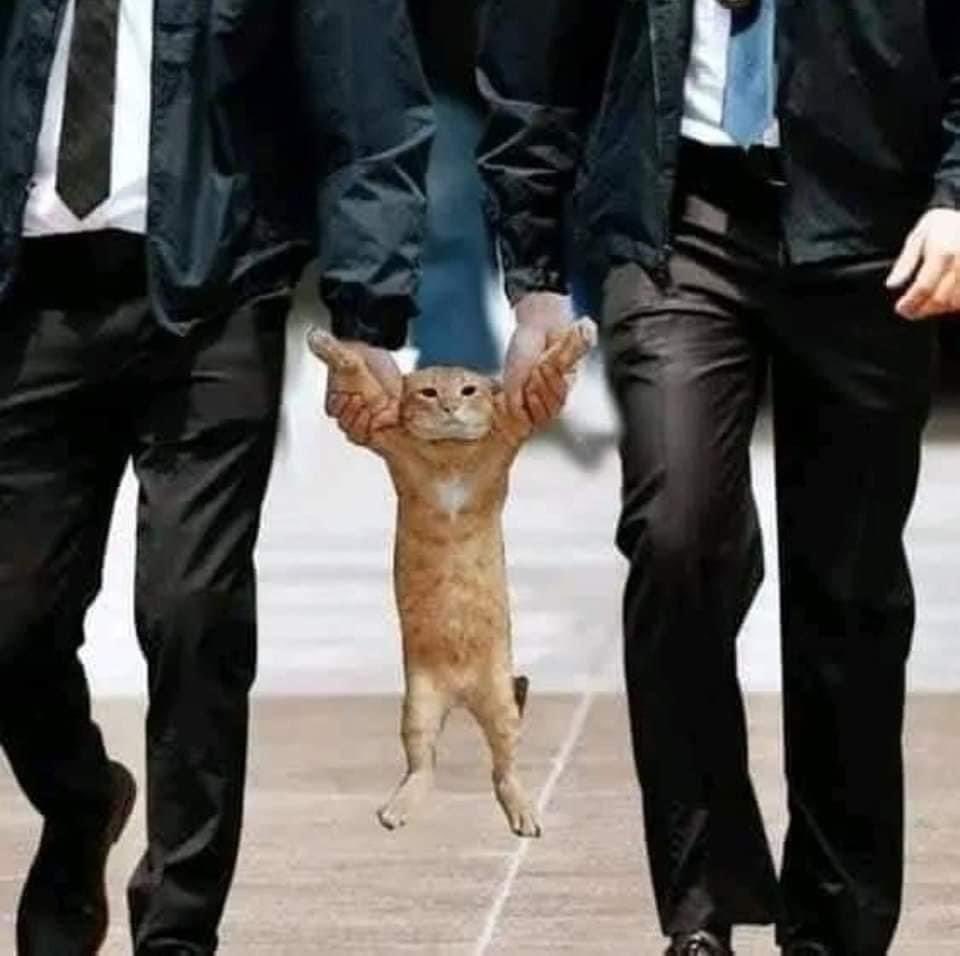 Hiç kimse kanundan üstün değildir 😁