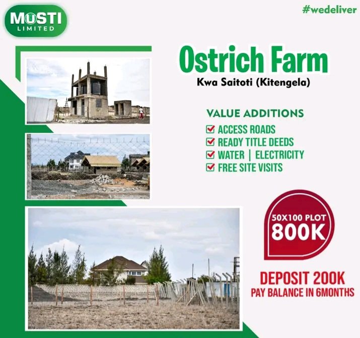 Looking for the perfect plot to call your own? Discover the breathtaking plots for sale at the Ostrich Farm in Kitengela 
Contact us at 0792512327 to learn more about these exclusive plots. Your dream home starts here! 

#OstrichFarm #KitengelaPlots #DreamHome #SereneLiving