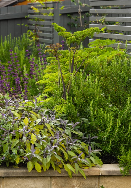 Society of Garden + Landscape Designers® (@the_sgld) on Twitter photo Congratulations to <a href="/MMGardenDesign/">Melissa Morton</a> based in Ilkley, West Yorkshire, who has passed her first project in the SGD Accreditation process with this beautiful design for a new build in Steeton. Find out more at melissamorton.co.uk Congratulations to <a href="/MMGardenDesign/">Melissa Morton</a> based in Ilkley, West Yorkshire, who has passed her first project in the SGD Accreditation process with this beautiful design for a new build in Steeton. Find out more at melissamorton.co.uk
