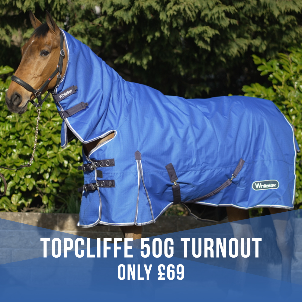 Does your horse need a new rug? We've got you covered - mailchi.mp/johnwhitaker.c…