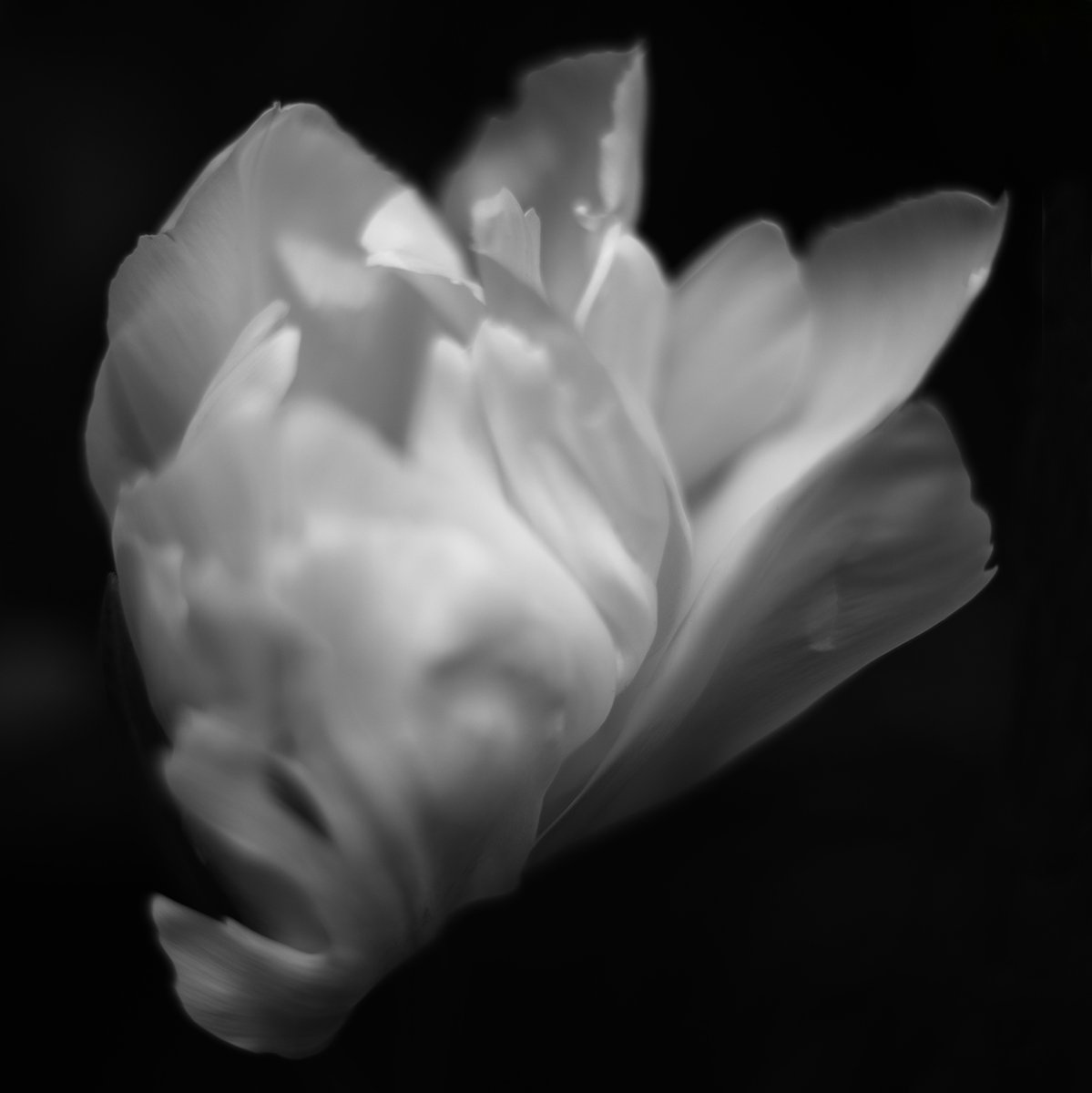 Diane Patrice (@dianepatrice) on Twitter photo 