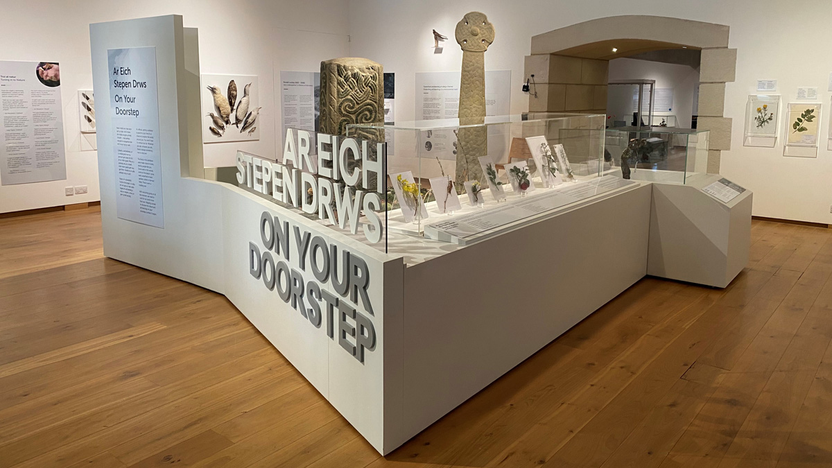 Last opportunity to catch Museum Wales’ On Your Doorstep exhibition – ends Sunday 4 June. See local archaeological and natural discoveries of all shapes and sizes, from ghost slugs to gold coins.