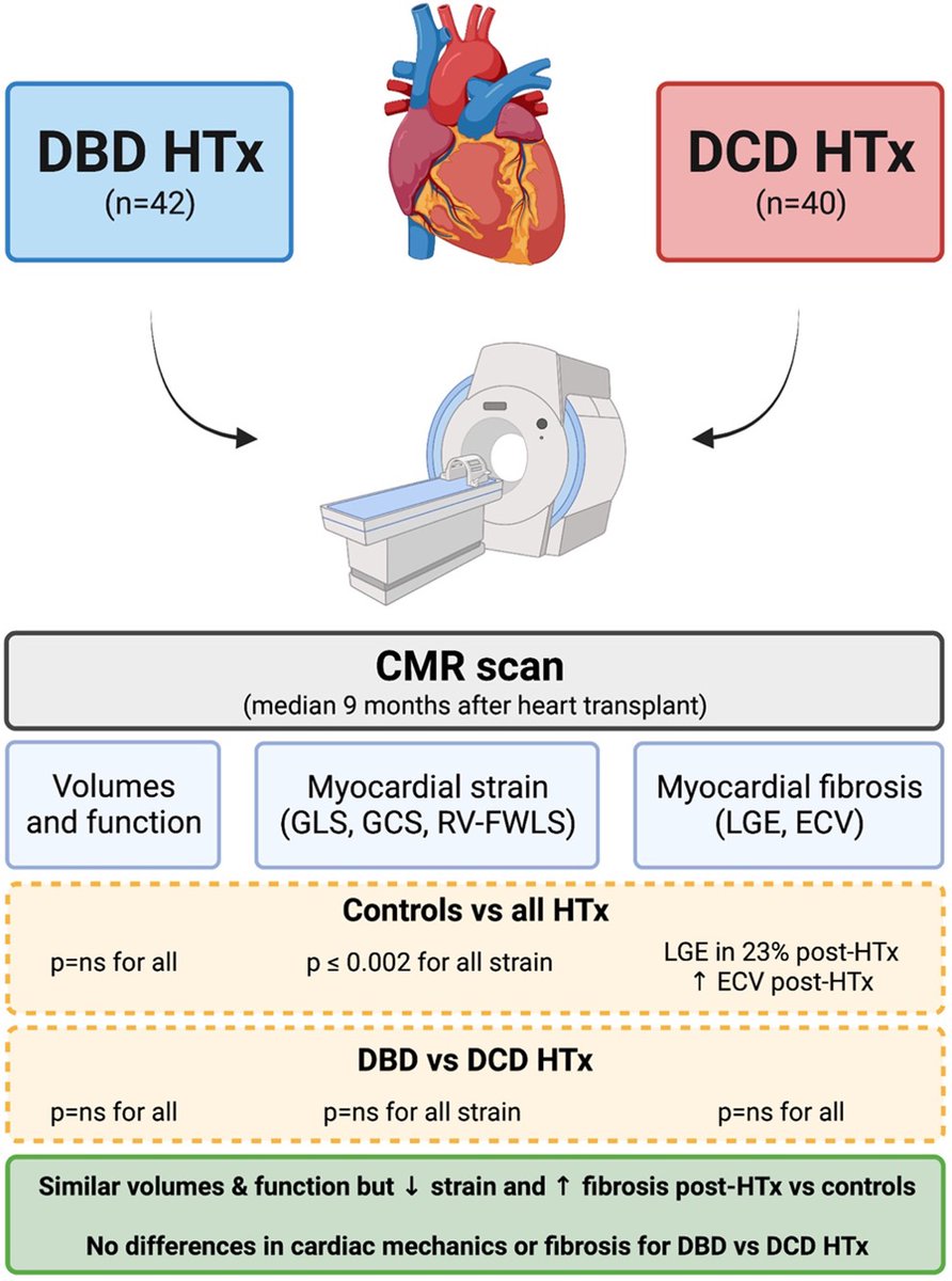 Great to see our work on DBD and DCD HTx🫀from @royalpapworth just published in @JCardFail We wanted to see if there were any differences between DBD and DCD HTx and controls in terms of cardiac mechanics and myocardial fibrosis on #whyCMR doi.org/10.1016/j.card… 🧵 1/n
