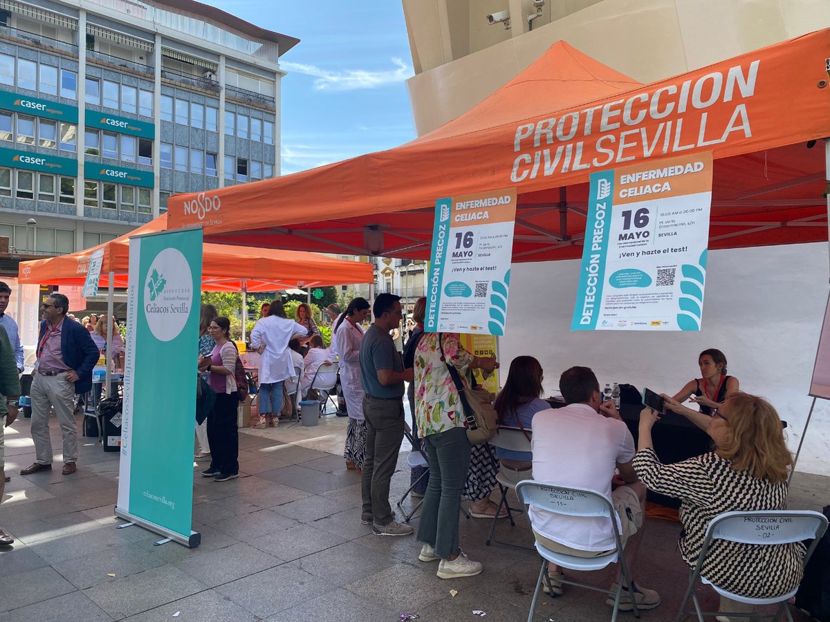 La #RedSevillaSinGLuten está en Las Setas junto a Asprocese. Asociación de Celiacos de Sevilla , Ayuntamiento de Sevilla y <a href="/biomedal/">Biomedal</a>  realizando un cribado masivo a la población de la ciudad y, además, ofreciendo información. ¡Nos vemos en Sevilla!