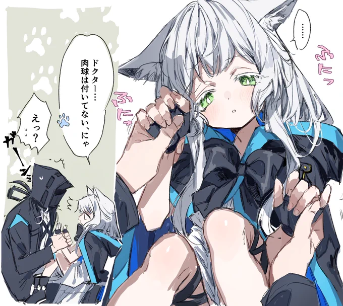 ロスモンティスとドクター