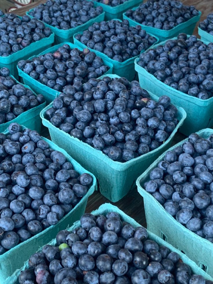 Mynzagric254 on Twitter "An acre of land can approximately