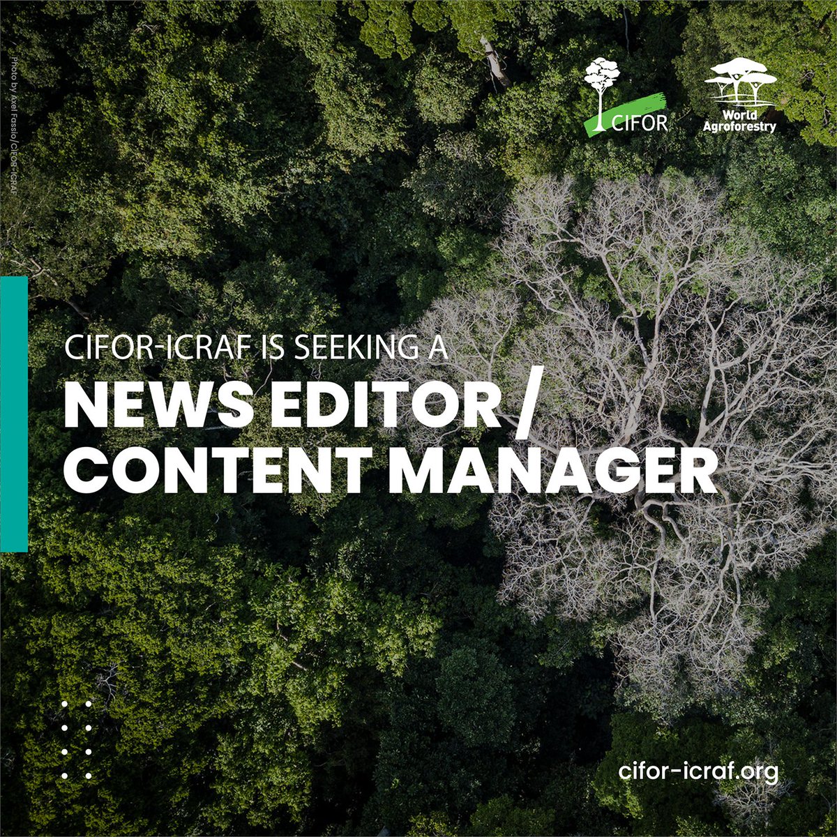 GlobalLF's tweet photo. 📢Join the team!
@CIFOR_ICRAF is looking for a News Editor/Content Manager Consultant to oversee the running of its news sites, develop content for its digital channels, &amp; direct the production of multimedia content.

Apply👉 https://t.co/w7KTnQzEhE
#vacancies #Jobs https://t.co/5peyDlu3Tr