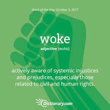 PRODemocracy100's tweet photo. Florida Republicans: woke is not a bad thing and we do not care if we are called out for being too woke. Using the term woke in a derogatory way doesn't affect anyone. It only makes you look like an uneducated douche bag. Learn what Woke actually means. #ProudBlue #DemVoice1 https://t.co/qi3mW3wVmI