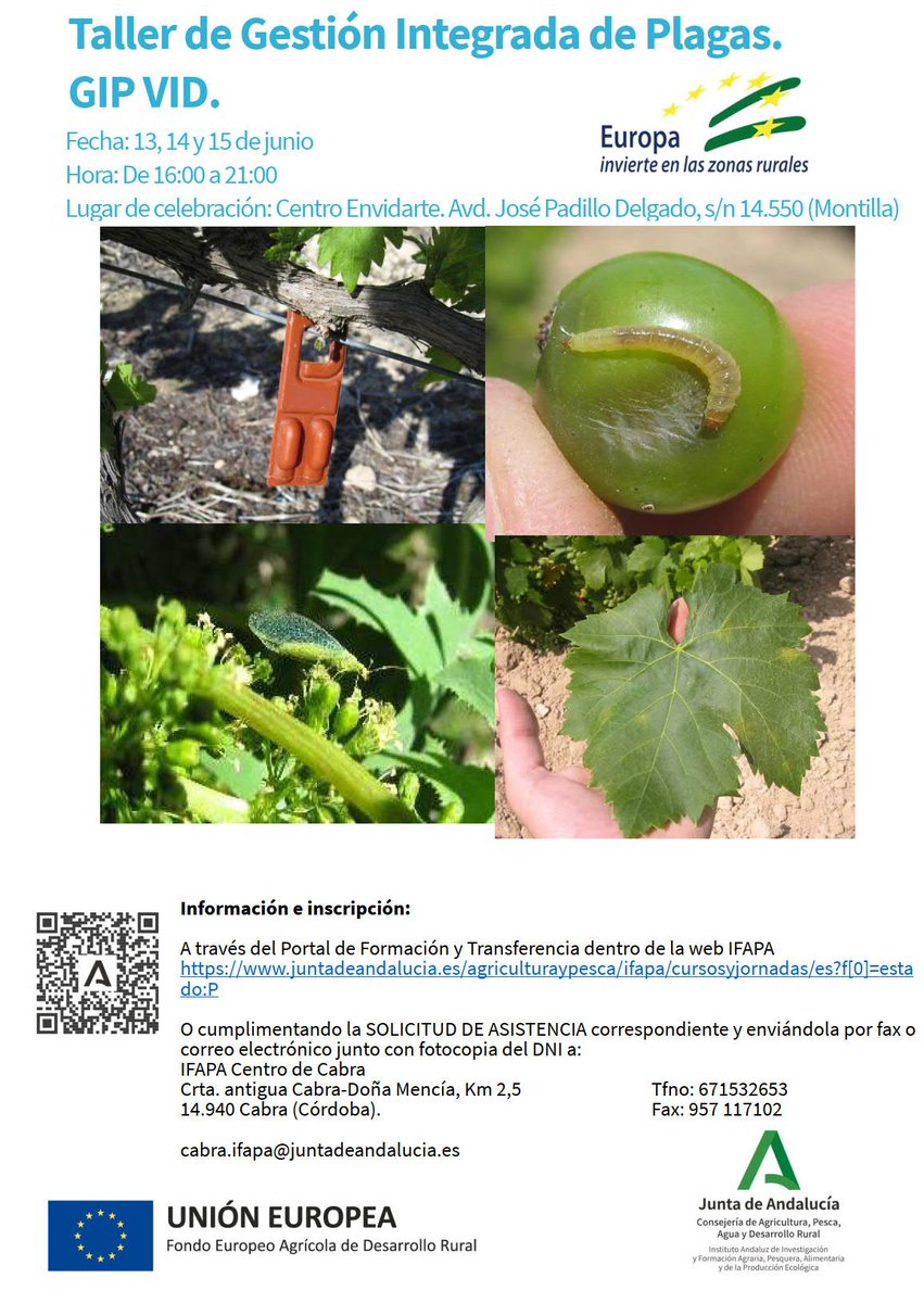 IfapaJunta's tweet photo. 🐞🍇Taller de gestión integrada de plagas en #vid

🗓️Del 13 al 15 de junio  🕓De 16 a 21 horas
📍 Centro Envidarte, #Montilla, #Córdoba
📝Más información e inscripciones: https://t.co/vI0ZeC024J

#IFAPAforma https://t.co/VjXxd7onUG