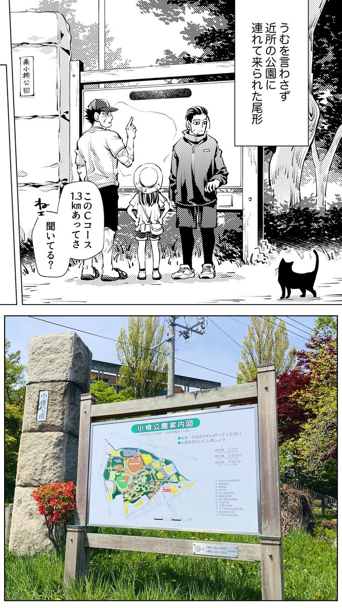 かづきち tweet media