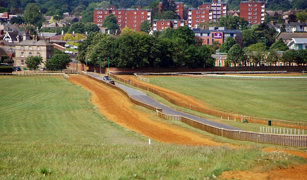TheSuffolkMan's tweet image. #Newmarket #Gallops #HorseRacing