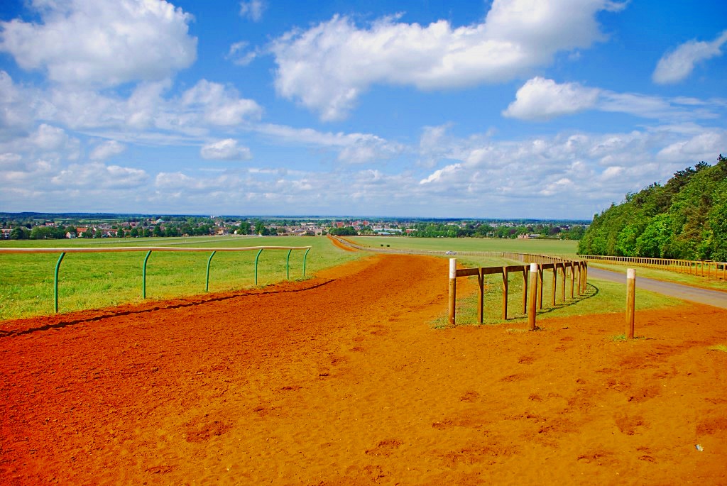 TheSuffolkMan's tweet image. #Newmarket #Gallops #HorseRacing