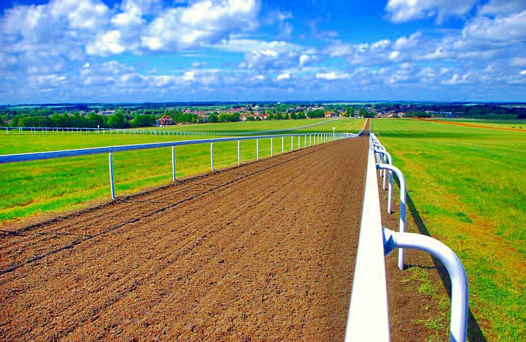TheSuffolkMan's tweet image. #Newmarket #Gallops #HorseRacing