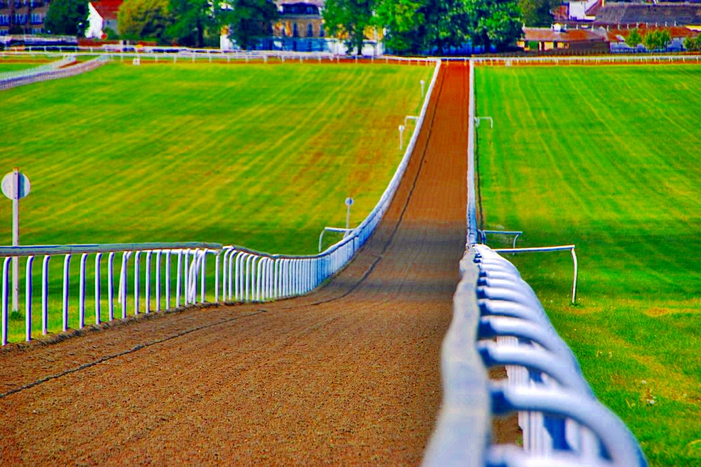 TheSuffolkMan's tweet image. #Newmarket #Gallops #HorseRacing