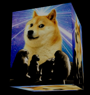 Dogeparty tweet media