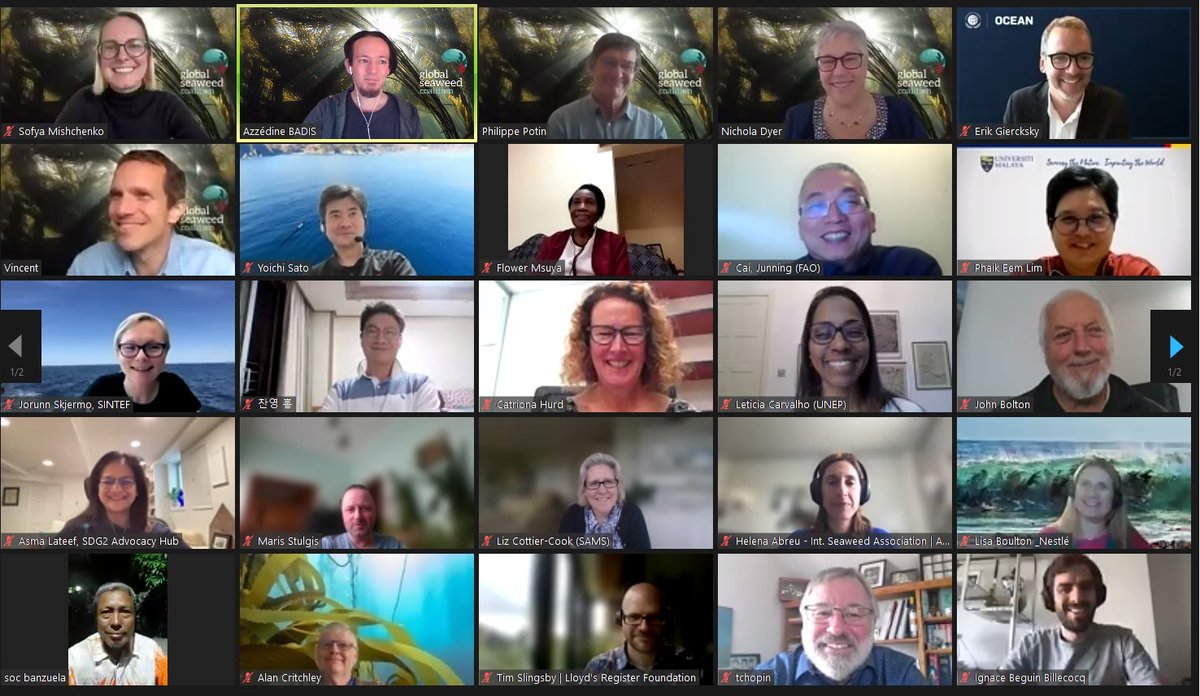 Safe_Seaweed's tweet image. 🌊Great joint inaugural meeting of our scientific and strategic advisory councils yesterday! Their unique expertise will provide guidance on #seaweed and its role in the economy, society, and environment, and ensure our actions stay grounded in the most up-to-date seaweed science