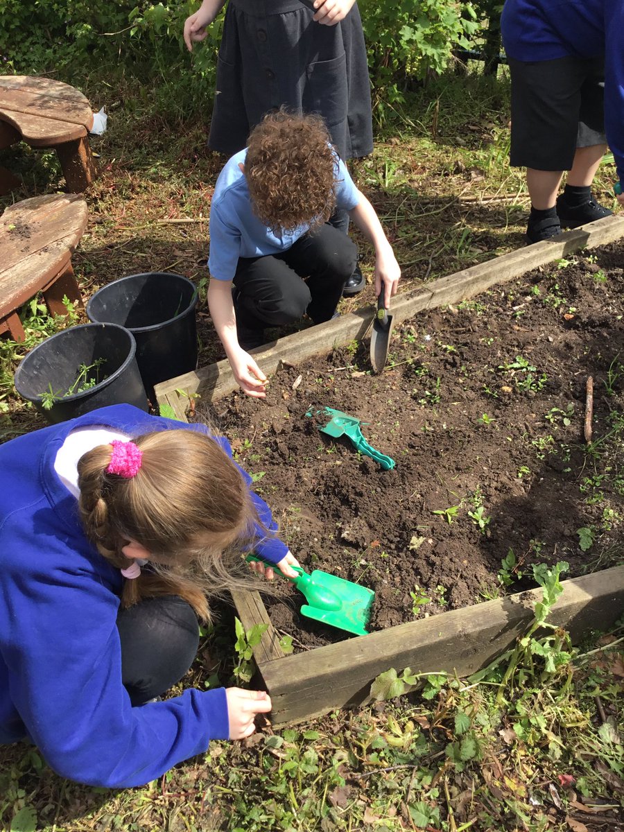 LeysFarm's tweet photo. Class 4W have enjoyed weeding some of the beds in the garden this morning. Looking forward to sowing some wildflower seeds and watching them grow. #LFJSScience #LFJSMindfulness #LFJSGardening https://t.co/SvWwDe6fix