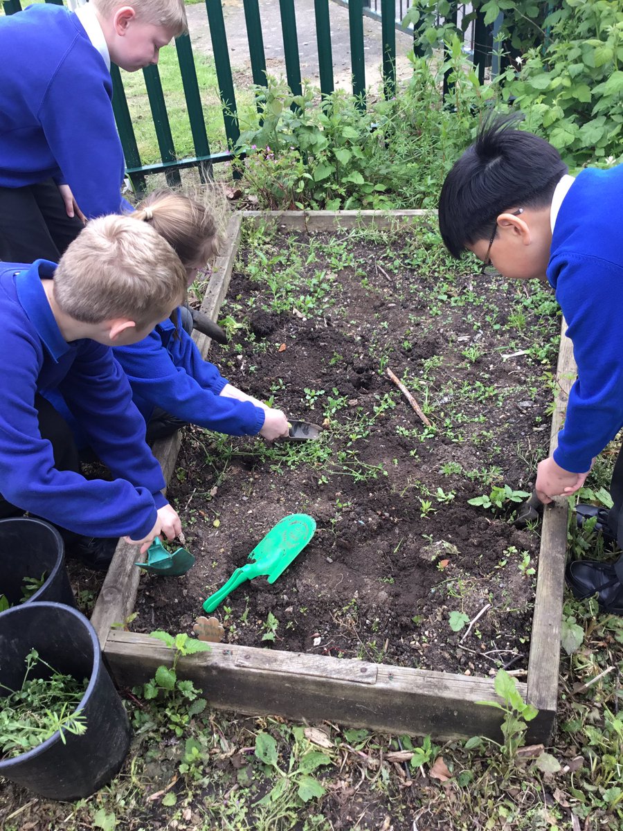 LeysFarm's tweet photo. Class 4W have enjoyed weeding some of the beds in the garden this morning. Looking forward to sowing some wildflower seeds and watching them grow. #LFJSScience #LFJSMindfulness #LFJSGardening https://t.co/SvWwDe6fix