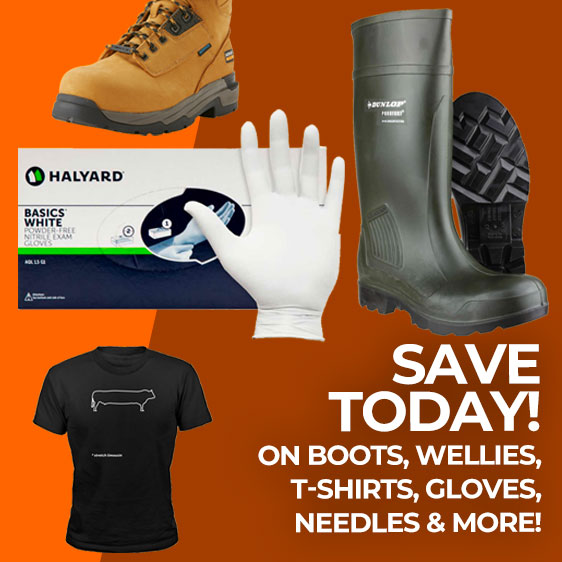 AbbeydaleDirect's tweet photo. Get Clearance Savings! Boots/Gloves/T-Shirts &amp; More! - https://t.co/3TiQ2AuDMJ
#farming #dairyfarmer #wellies #boots #savings #workwear #nitrilegloves https://t.co/V6Z0EQg3OL