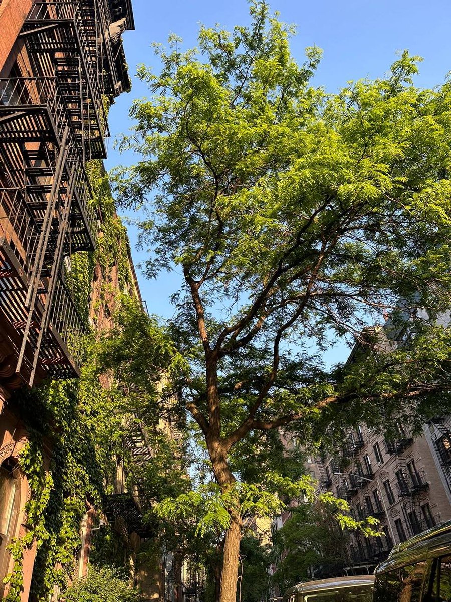 1Helen10's tweet photo. In life, patience is the key. It's much better to be going somewhere slowly than nowhere fast. https://t.co/FZZnIYxKKb