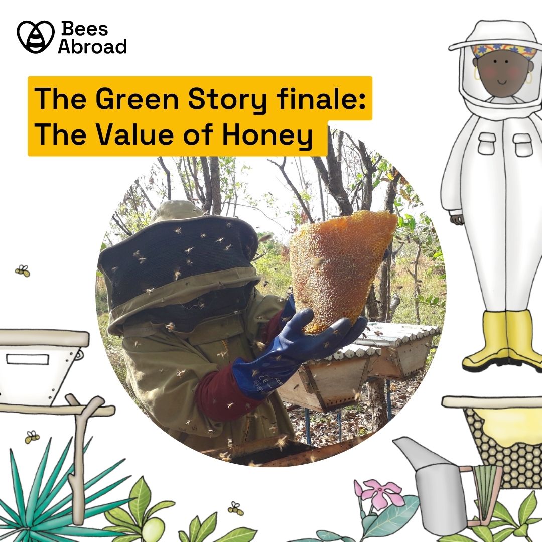 The Value of Honey, it's more than a sweet treat! Read the latest and last blog in our Green Story series to hear about how honey has long been used by cultures around the world, and how sustainable beekeeping is at the heart of what we do 🍯🐝💚 beesabroad.org.uk/bees-and-honey/