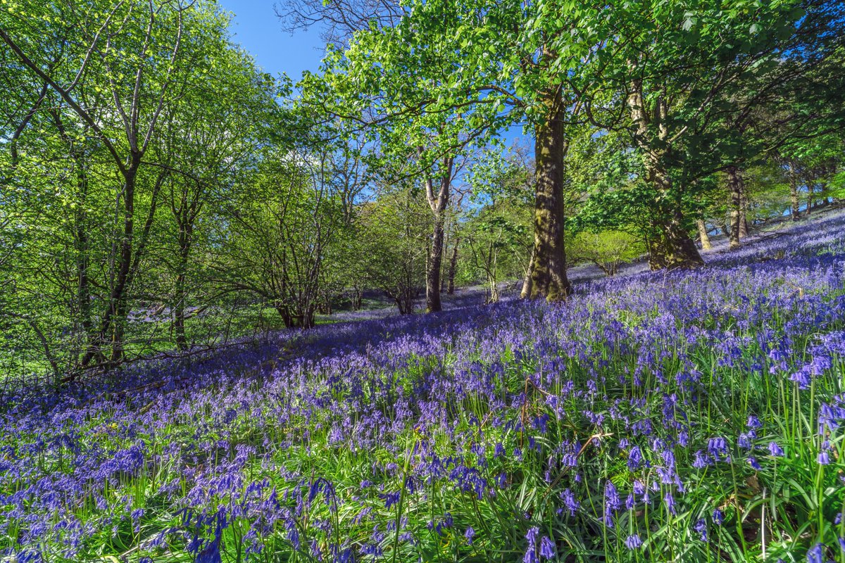 ToursInt's tweet photo. May in the UK 😍 https://t.co/VPUJlmXn2f