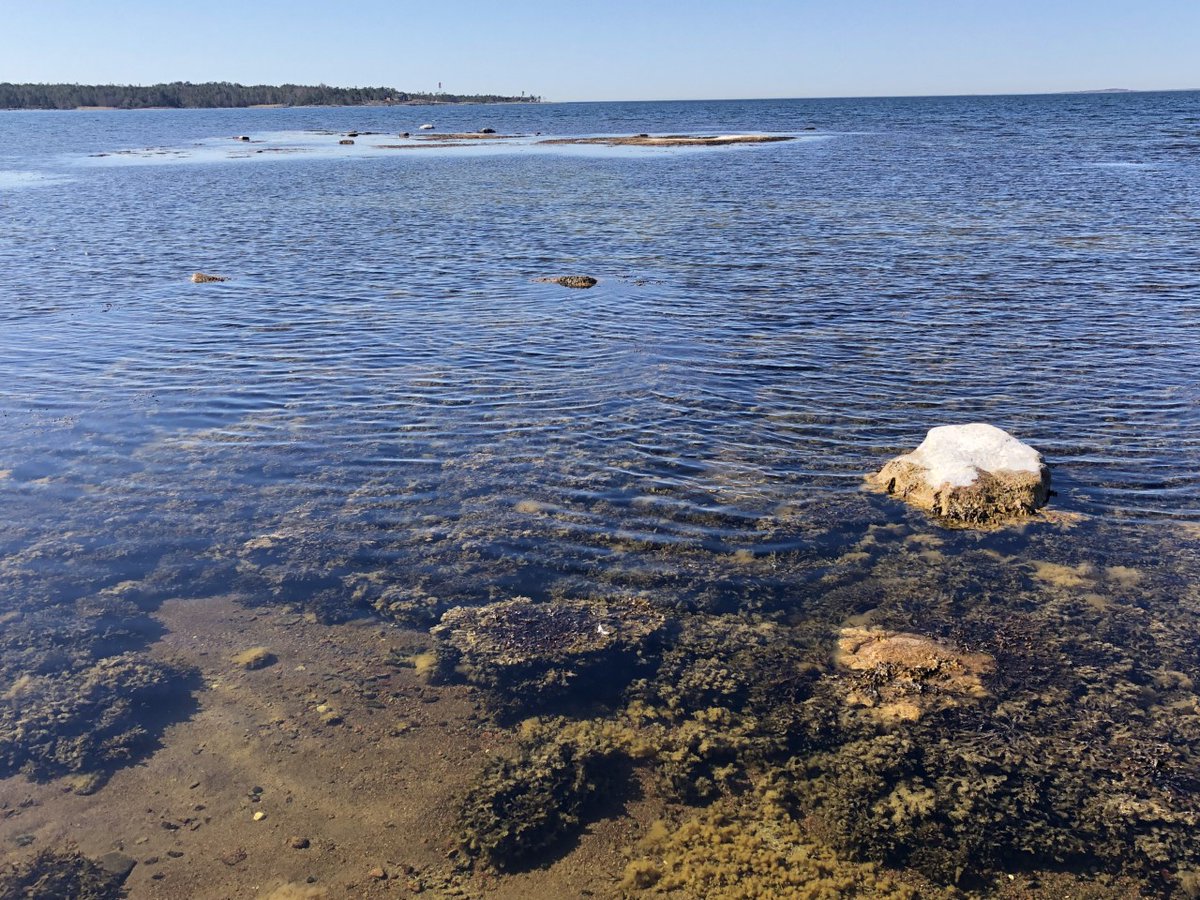 Kesän Suomenlinnan retket edessä. Kannattaa tutustua samalla <a href="/jnurmisensaatio/">John Nurmisen Säätiö</a> Tuntematon Itämeri -näyttelyyn. Ainutlaatuinen meremme tarvitsee edelleen suojelua.