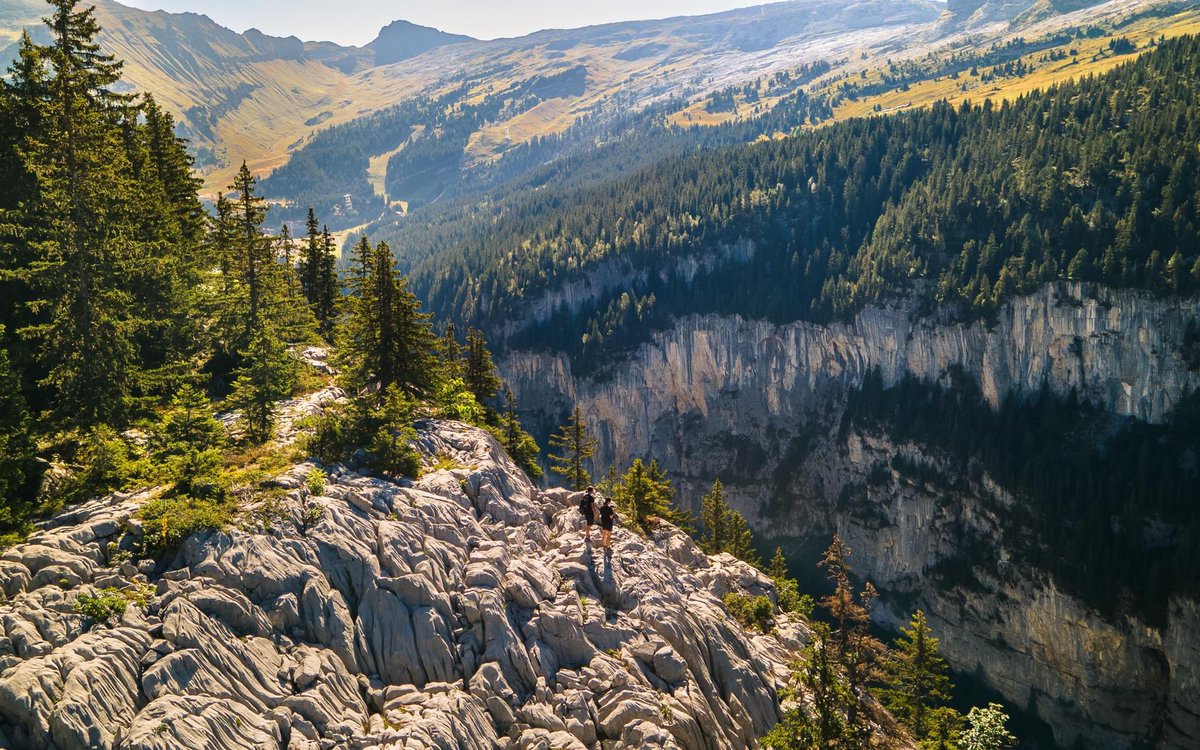 FLAINESki's tweet photo. Nos belles montagnes verdoyantes 🙌
Retrouver ces paysages d'ici quelques semaines… ! 😍
#cacestflaine #famille #ete23 #activitesgratuites #flaineletecestgratuit infos https://t.co/XOVCJQUCgc https://t.co/4YPep6mysS