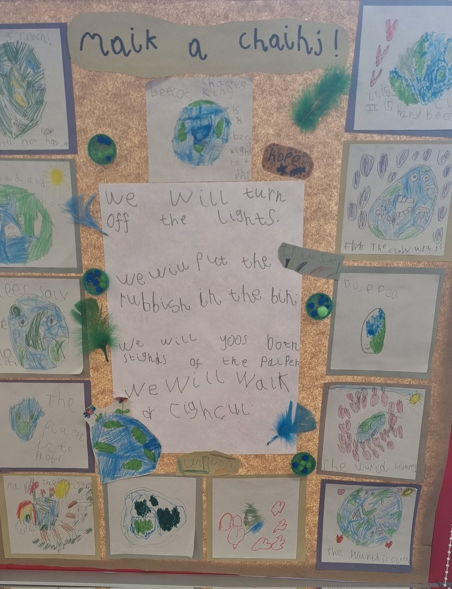 Howick Primary School tweet media