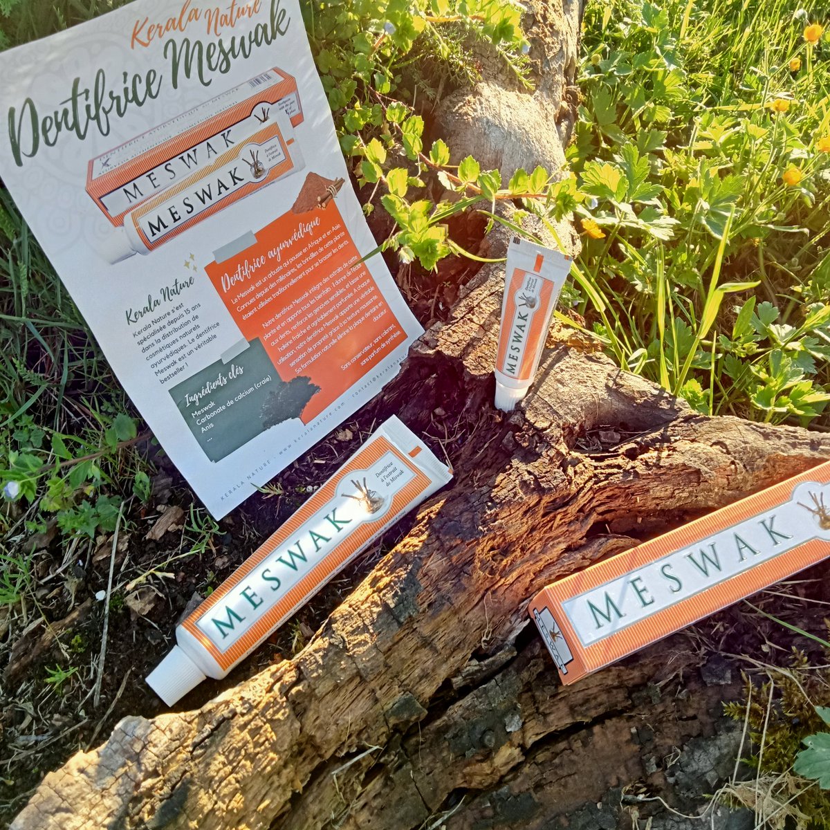 missyforiou's tweet photo. Bien reçu 🧡 merci #keralanature pour l'envoi de ce #dentifricemeswak de la marque @DaburIndia 😁 Dentifrice naturel sans fluor et ça j'adore 😍
#dentifrice #sansfluor #produitnaturel #Teeth #meswak
#Ambassador #sansconservateur #sanscolorant #ayurvedique #soinbuccodentaire https://t.co/CScDXk6tjU
