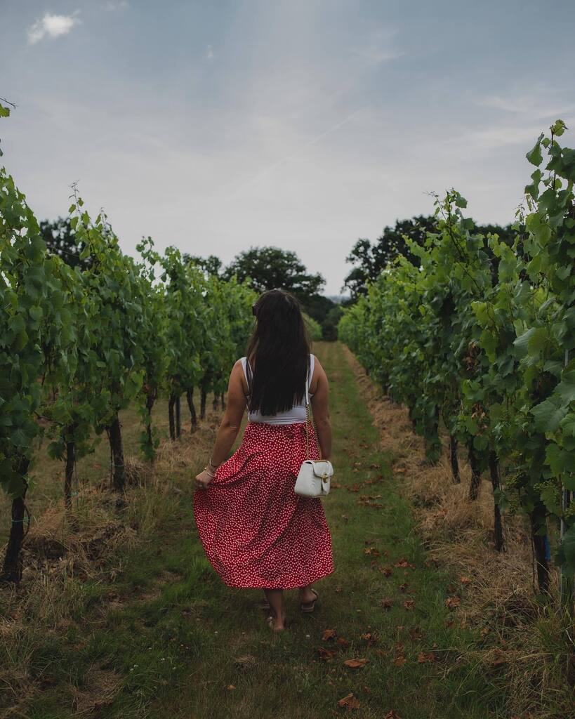 TheWineCEO's tweet photo. I posted a Viognier in my stories on Sunday and got a lot of questions about this wine! There are so many incredible wines that are perfect as we transition to late spring and summer 🌸

Below are some of my favorites!

🥂Viognier: this white wine is k… https://t.co/PUbKQXe7pp https://t.co/mdWl7XhzvR