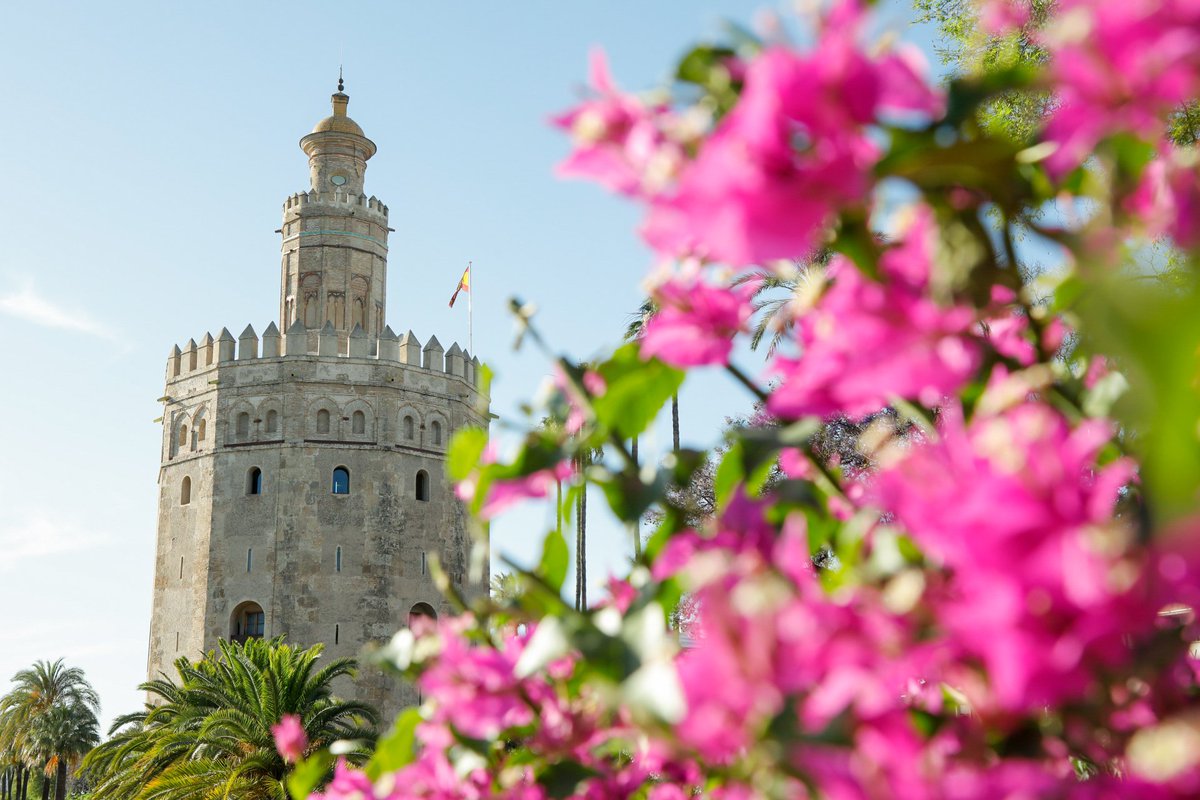 maiowyn's tweet photo. Un poquito de Sevilla https://t.co/wdiFxnwFD2