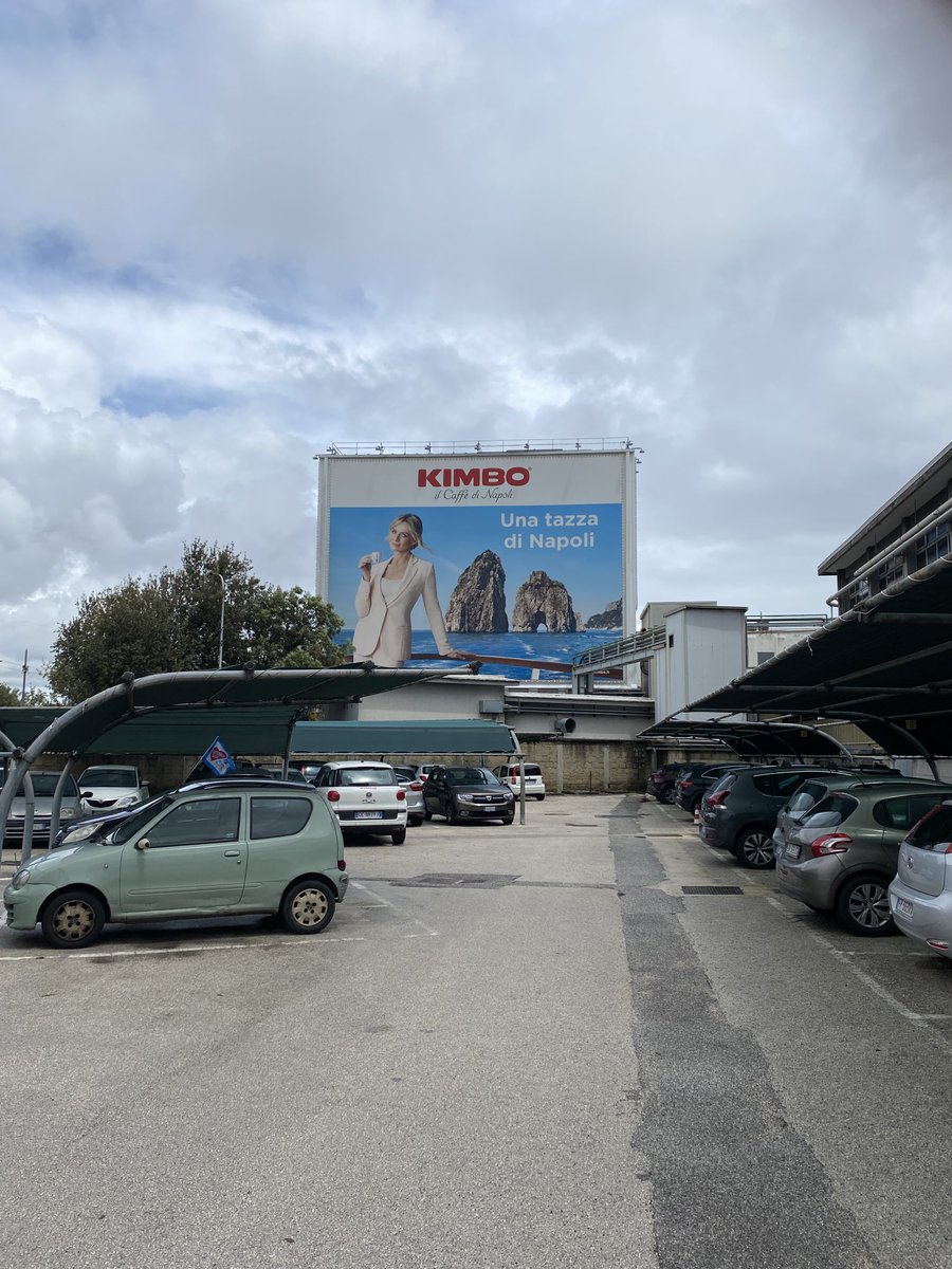 Teresa Spinelli tweet media