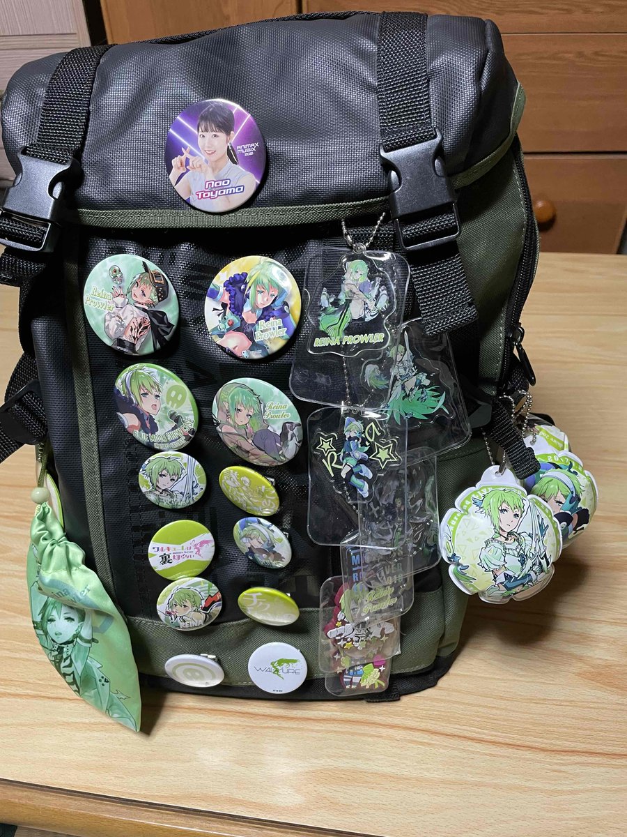 ストライプ デザイン/Striipe design ワルキューレ バックパック