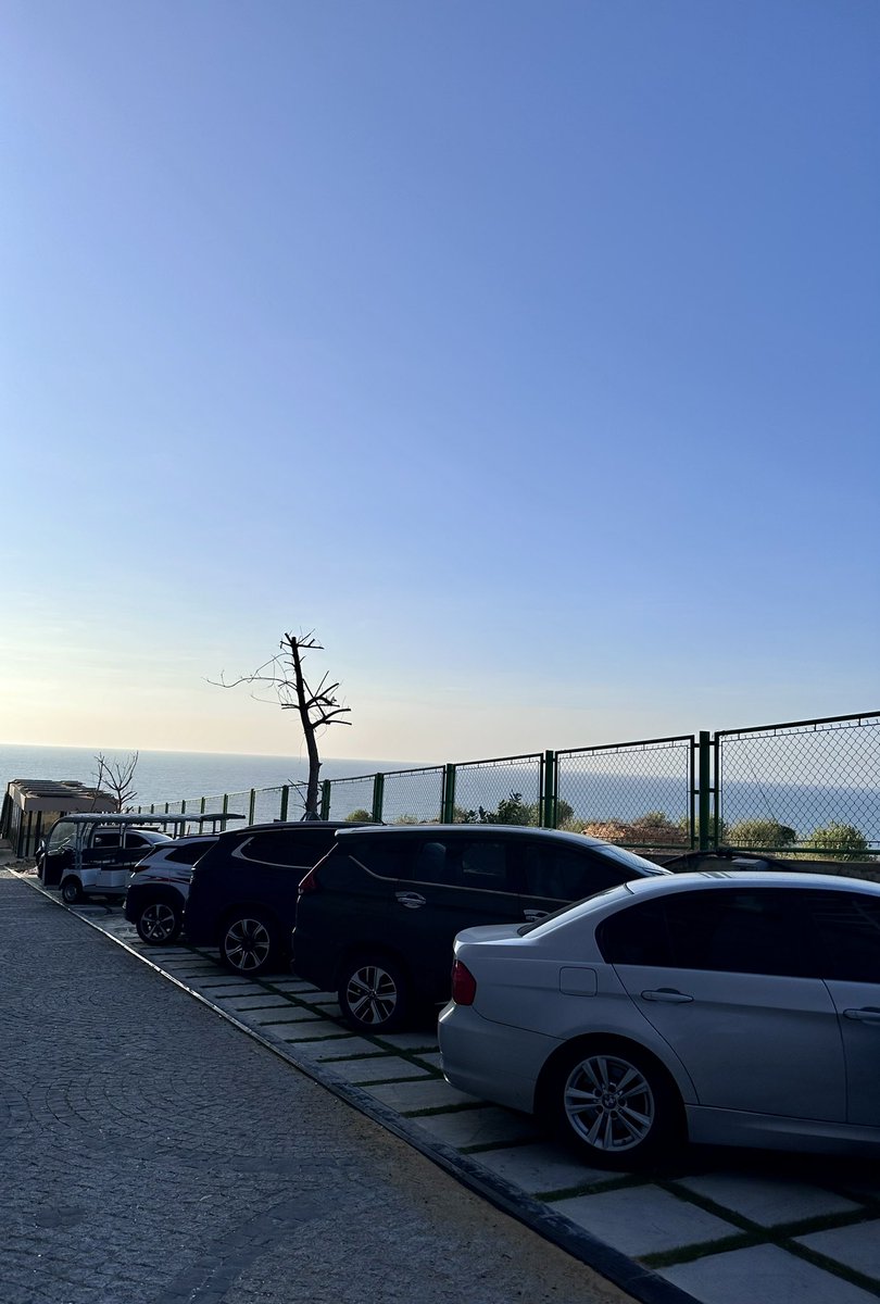 The arrangement! 
🎋🎋🎋