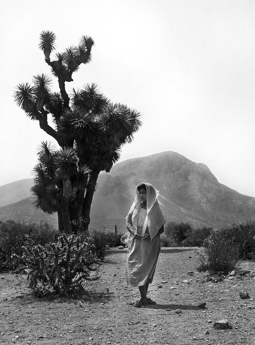 HistoriasLitera's tweet image. Juan Rulfo, aparte del brillante escritor que conocemos, fue un gran fotógrafo que retrató durante décadas el México que le tocó vivir. 

Decía Rulfo:
&quot;Para escribir tengo que imaginar. La realidad no me dice nada literariamente, aunque pueda decírmelo fotográficamente.&quot;