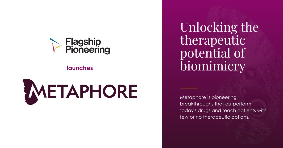 Flagship Pioneering (@flagshippioneer) on Twitter photo Flagship unveils Metaphore Biotechnologies, a company pioneering the use of machine learning and molecular mimicry to create transformative therapeutics. Read more: bit.ly/3O832lA #FlagshipFounded <a href="/MetaphoreBio/">Metaphore Biotechnologies</a> Flagship unveils Metaphore Biotechnologies, a company pioneering the use of machine learning and molecular mimicry to create transformative therapeutics. Read more: bit.ly/3O832lA #FlagshipFounded <a href="/MetaphoreBio/">Metaphore Biotechnologies</a>