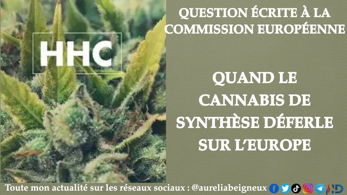 🖋️ [QUESTION ECRITE]

💊 Drogue de synthèse dérivée du cannabis vendue en toute légalité, le #HHC ou hexahydrocannabinol déferle sur l’Europe avec des conséquences désastreuses sur la santé des consommateurs. 

Retrouvez ma question écrite adressée @UEFrance ⤵️

Créé dans les…