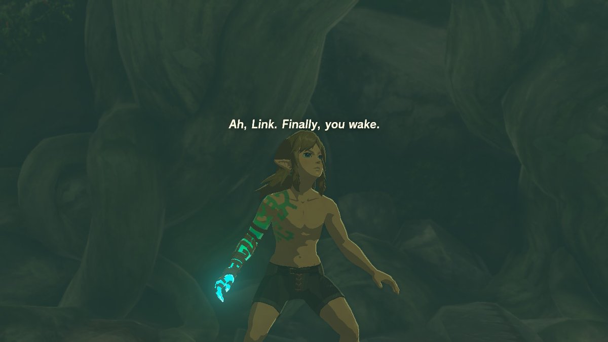 varforinterolan's tweet image. #TearsOfTheKingdom #Zelda #NintendoSwitch