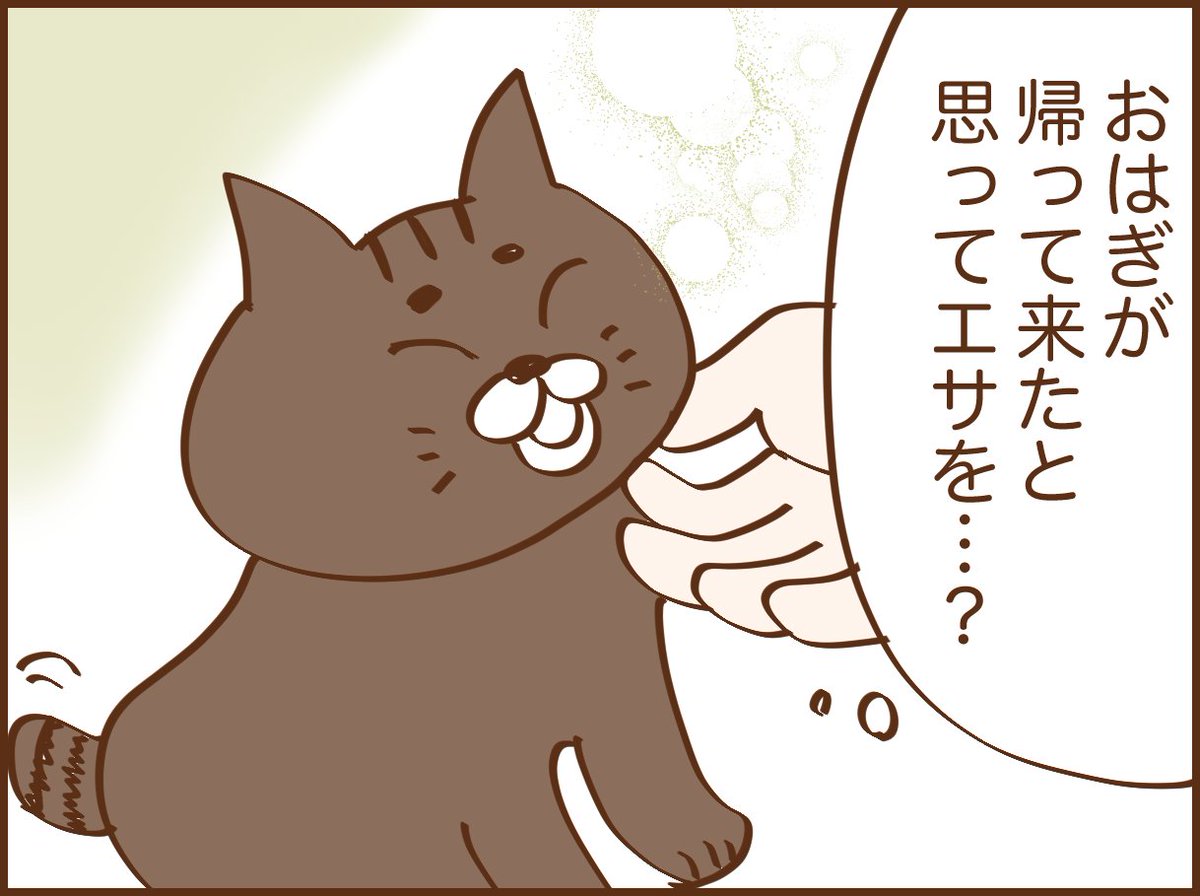 ■野良猫に餌をやるおばあさんの話9 続きは明日20時にアップします🙆‍♀️ #漫画が読めるハッシュタグ