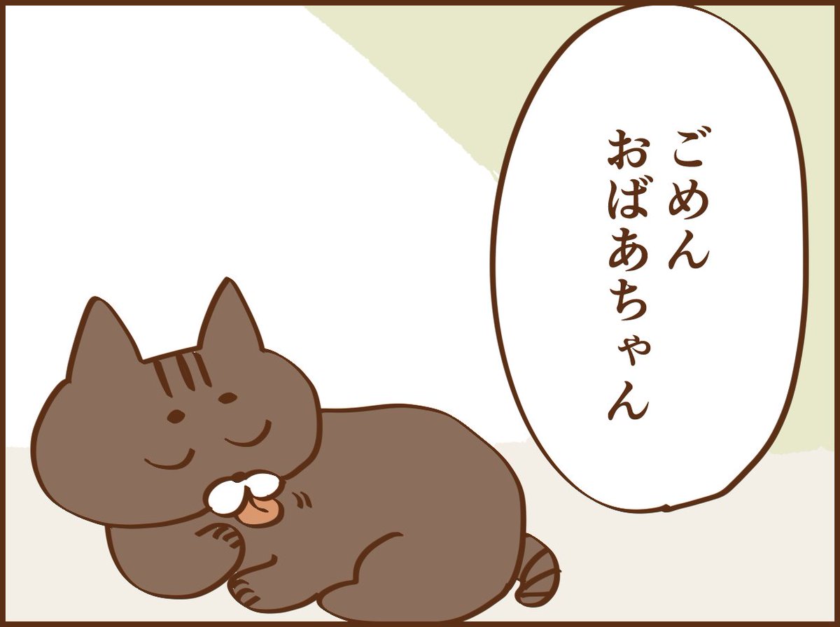 ■野良猫に餌をやるおばあさんの話9 続きは明日20時にアップします🙆‍♀️ #漫画が読めるハッシュタグ