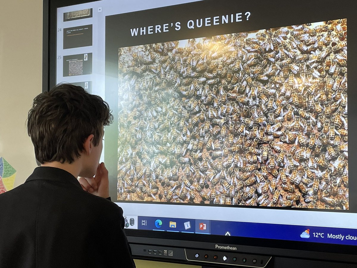 schs_hwb's tweet photo. Beekeeping “Skills For the Future” class identifying the Queen! 🐝🐝🐝#learningnewskills #beekeepers @_stcolumba @St_Col_Home_Ec1 https://t.co/fWht4SVNqZ