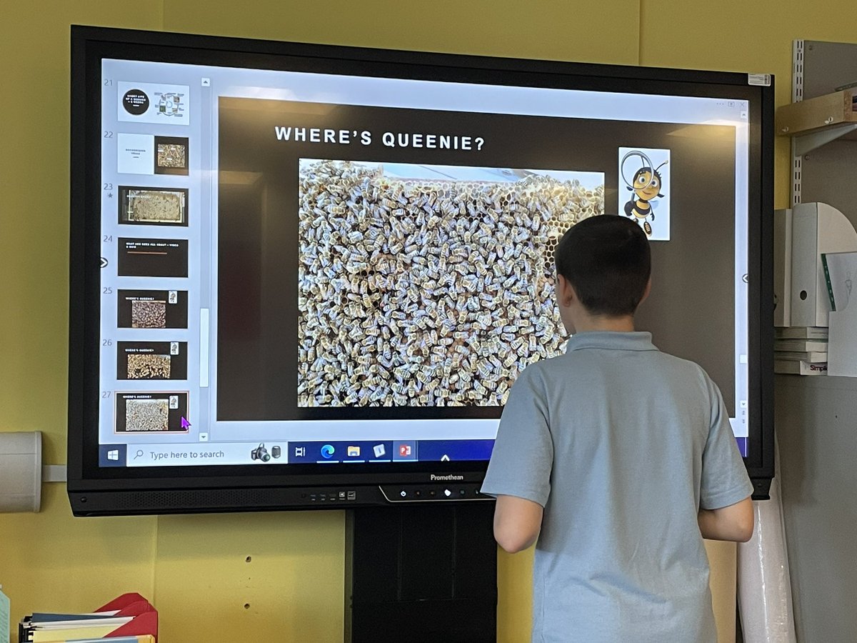 schs_hwb's tweet photo. Beekeeping “Skills For the Future” class identifying the Queen! 🐝🐝🐝#learningnewskills #beekeepers @_stcolumba @St_Col_Home_Ec1 https://t.co/fWht4SVNqZ