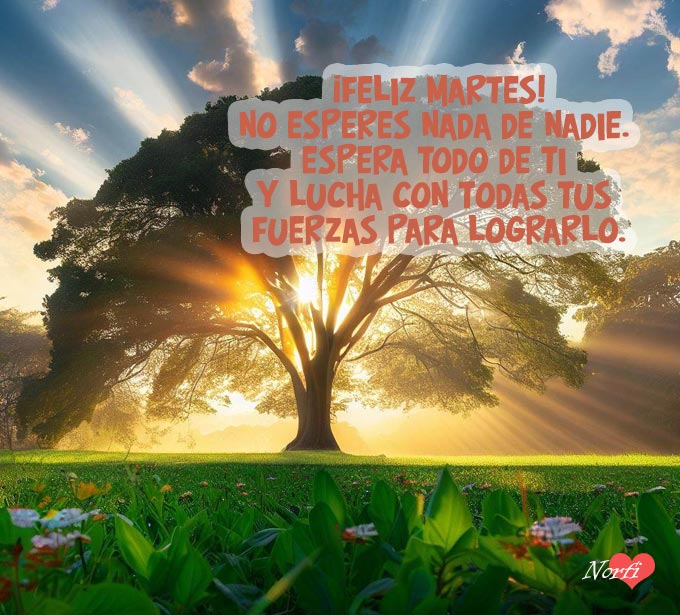 ¡Buenos días!
¡Feliz Martes!
No esperes nada de nadie. Espera TODO de ti y lucha con todas tus fuerzas para lograrlo.
norfipc.com/amor/palabras-…
#buenosdias #felizdia