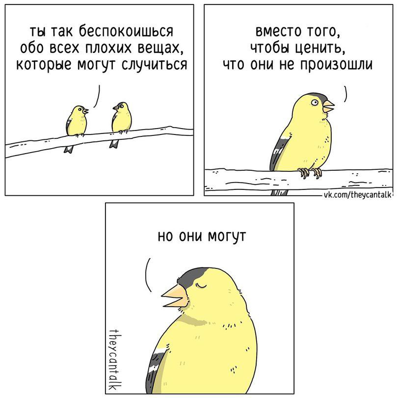 tepploo's tweet photo. извините, но это так https://t.co/v0aKQCCQeX