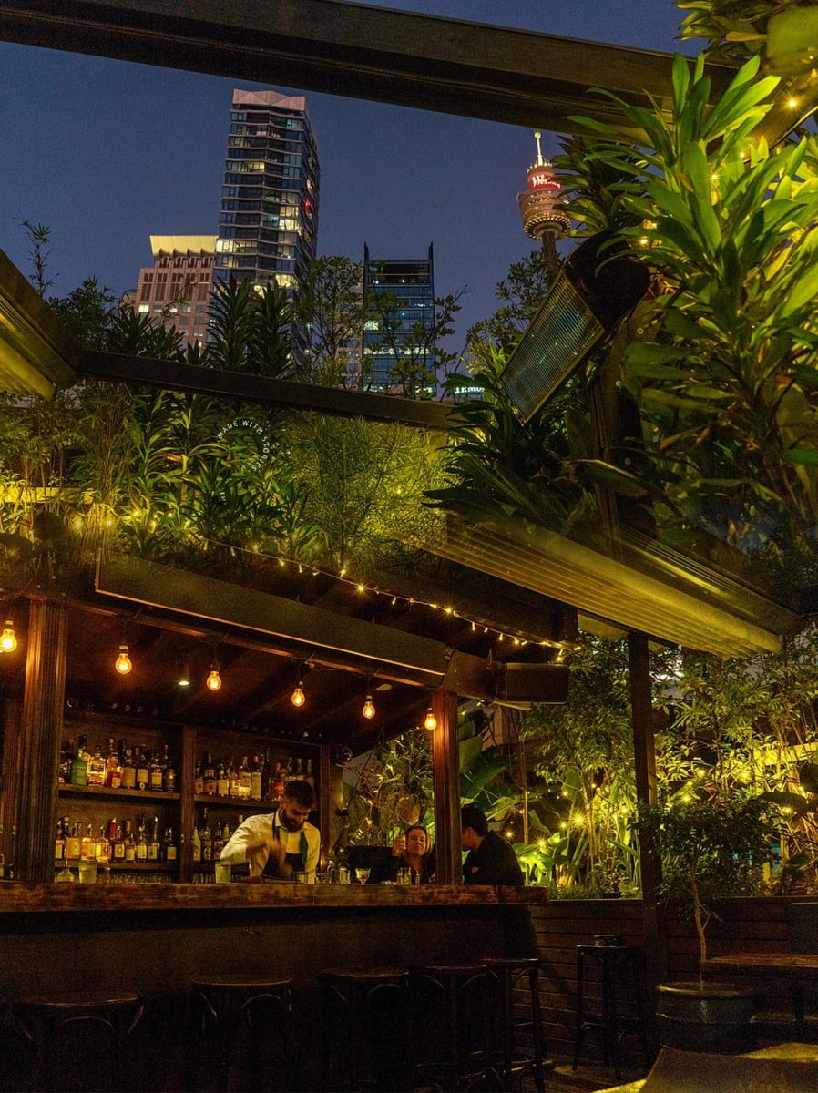 DistanceMagic's tweet image. Deeply hidden 🇦🇺 niche terrace bar 🍸 right in the heart of Sydney