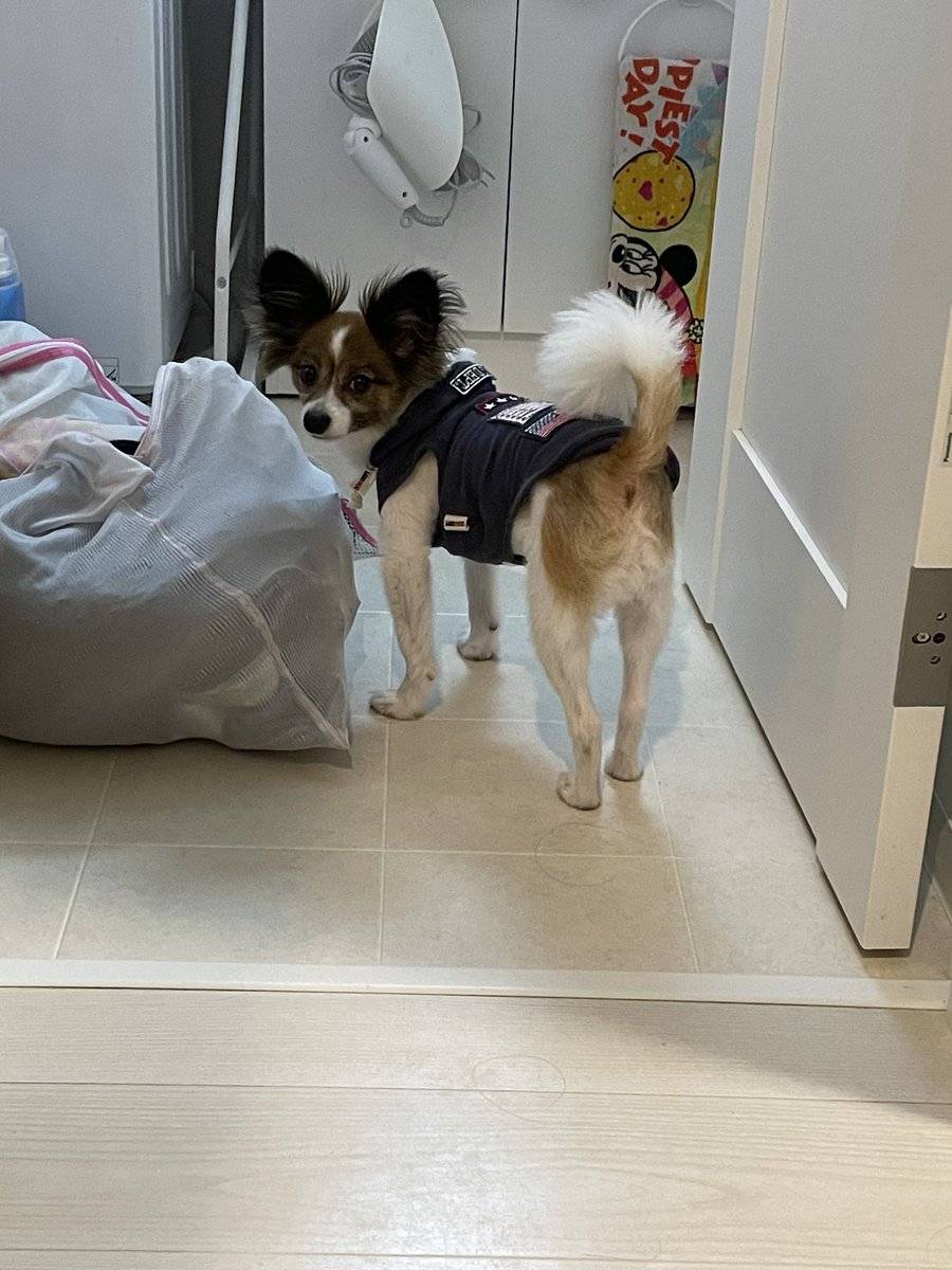 Loco20190408's tweet photo. 悪いことするのは得意分野ですとちゃうのよ（笑） https://t.co/w23m35LGD0