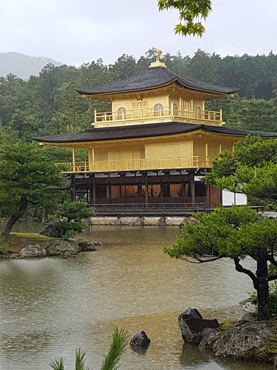 Coming soon........Kyoto
#travel #Japan #goldentemple #beautifulgardens #Kyoto