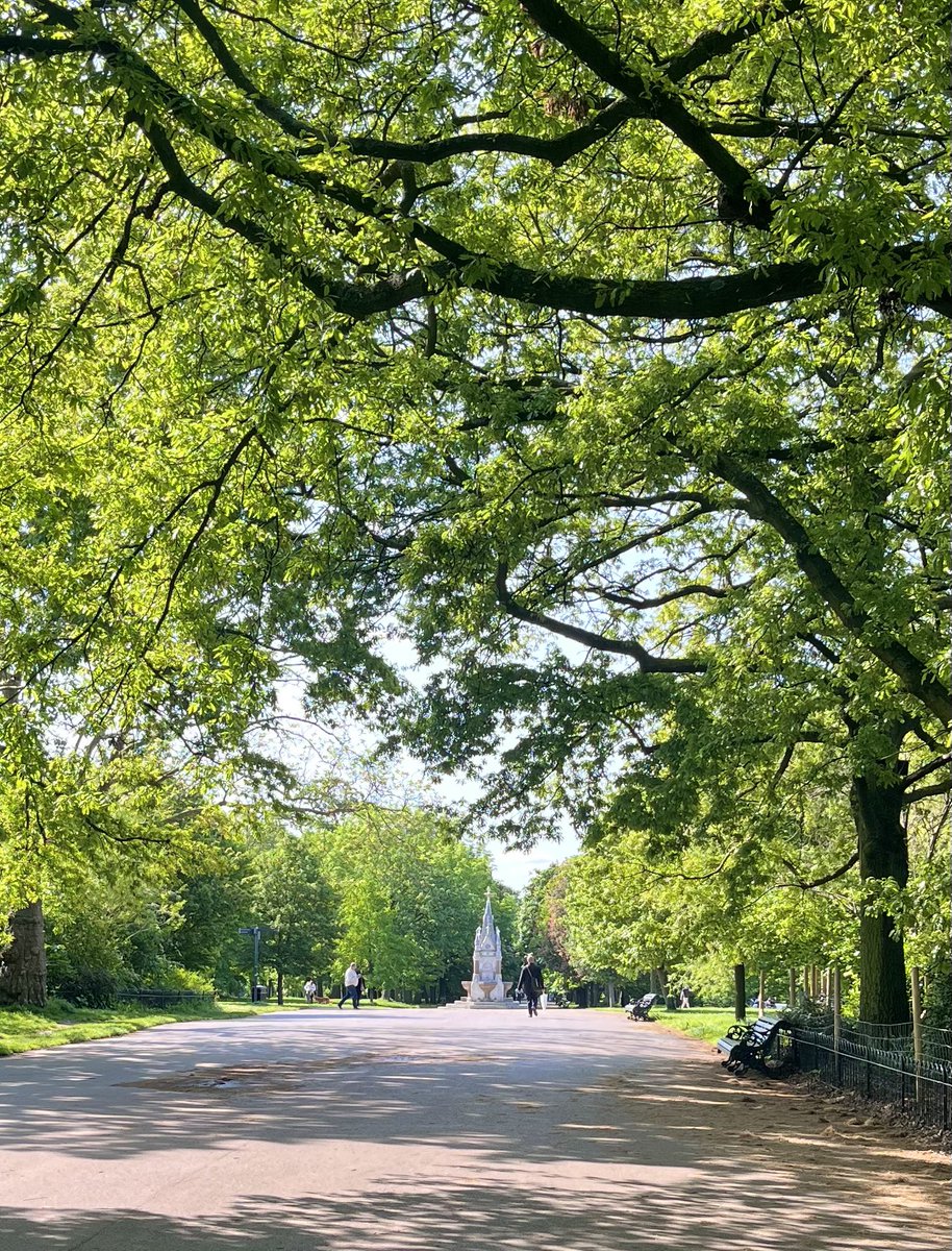 Jane Fallon tweet media