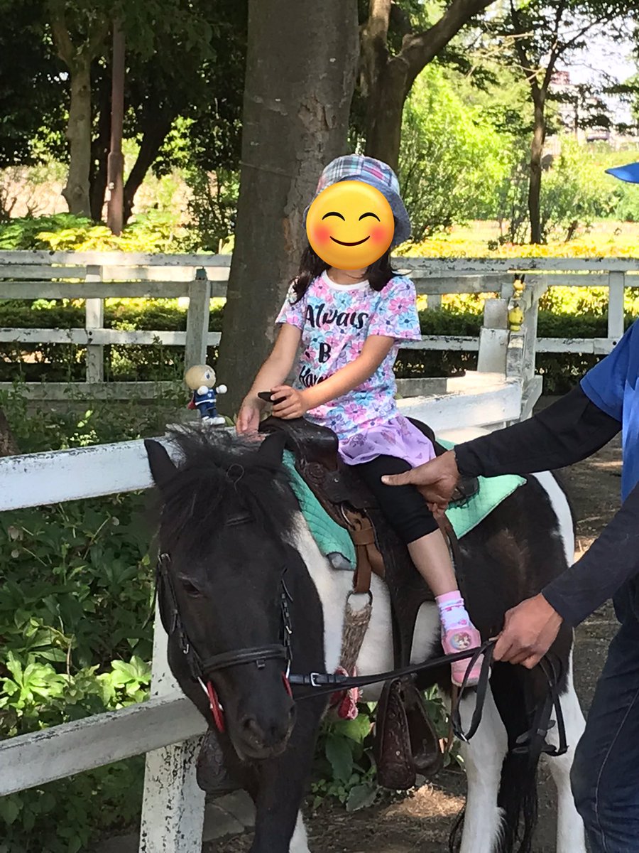 _jasmine_212's tweet photo. 麻溝公園🌲
ポニーとモルモットのふれあい体験❤️
　#麻溝公園 https://t.co/4NcW9vrJBm